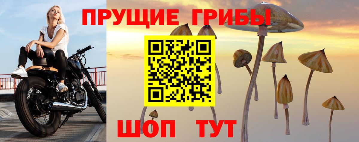 Стрежевой  Галлюциногенные грибы мицелий  Вход с VPN  Галлюциногенные грибы Cubensis 