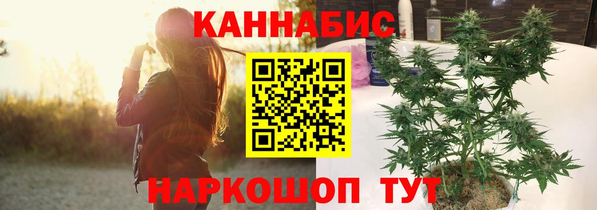 Бошки Шишки конопля Стрежевой